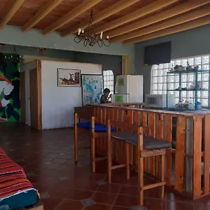 Enjoy Vallarta 19 Hostel
